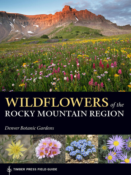 Title details for Wildflowers of the Rocky Mountain Region by Denver Botanic Gardens - Available